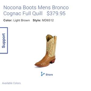 Men’s cowboy boots